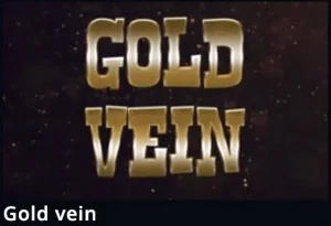 vein khelo24bet